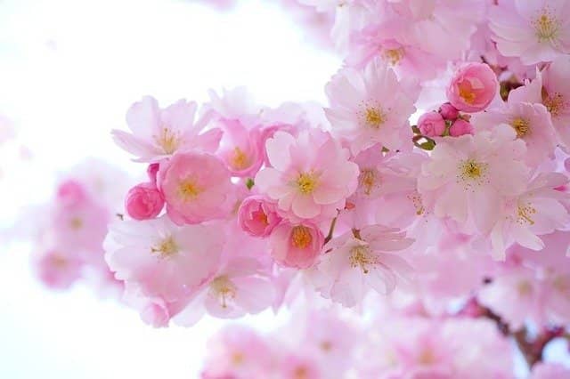You are currently viewing Experience the Healing Power of an Important Spa Massage